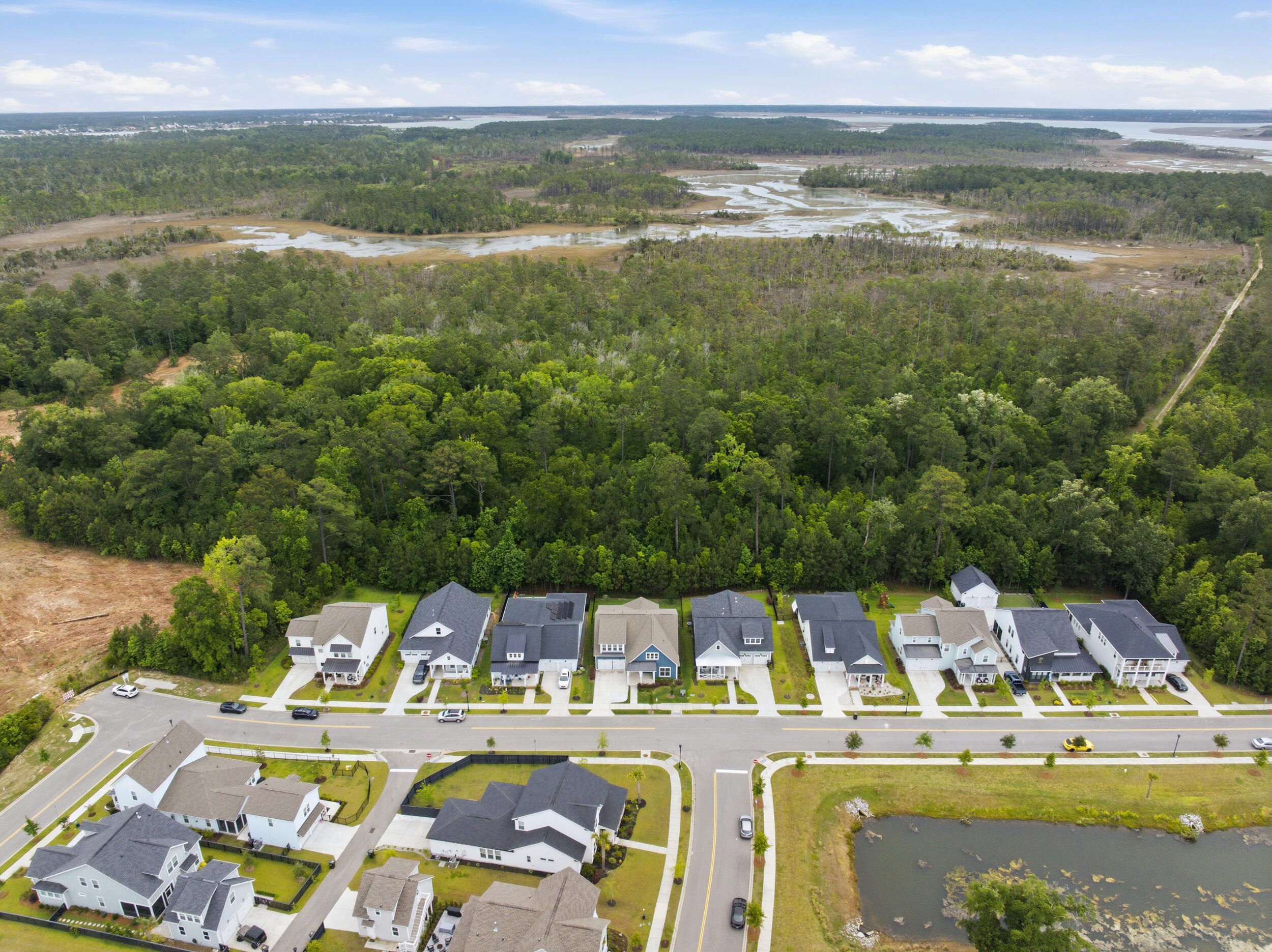 3515 Matisse Street Charleston, SC 29492 - Photo 41 of 44