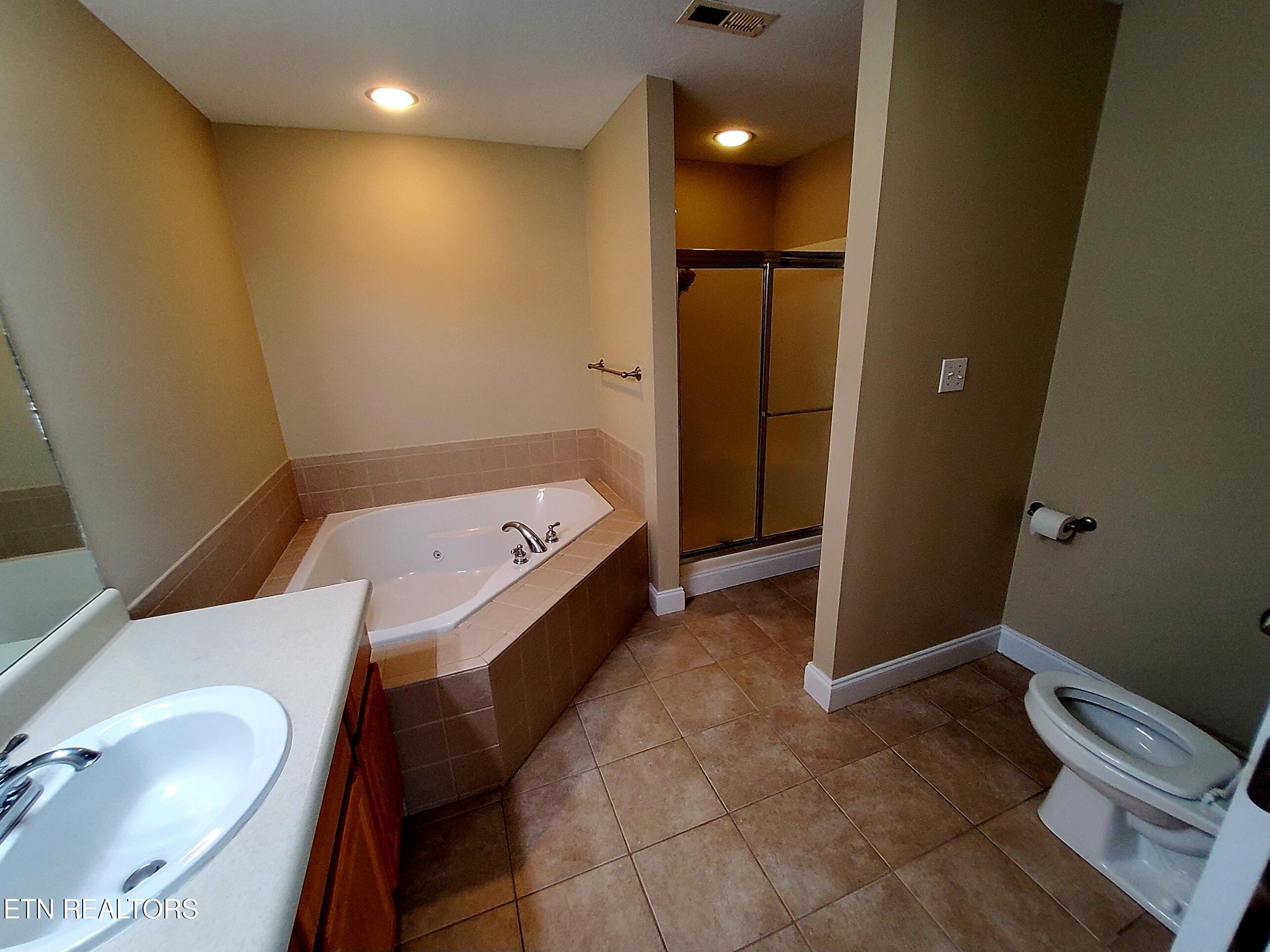 925 Elsborn Ridge Road Maryville, TN 37801 - Photo 20 of 24 Master Bath