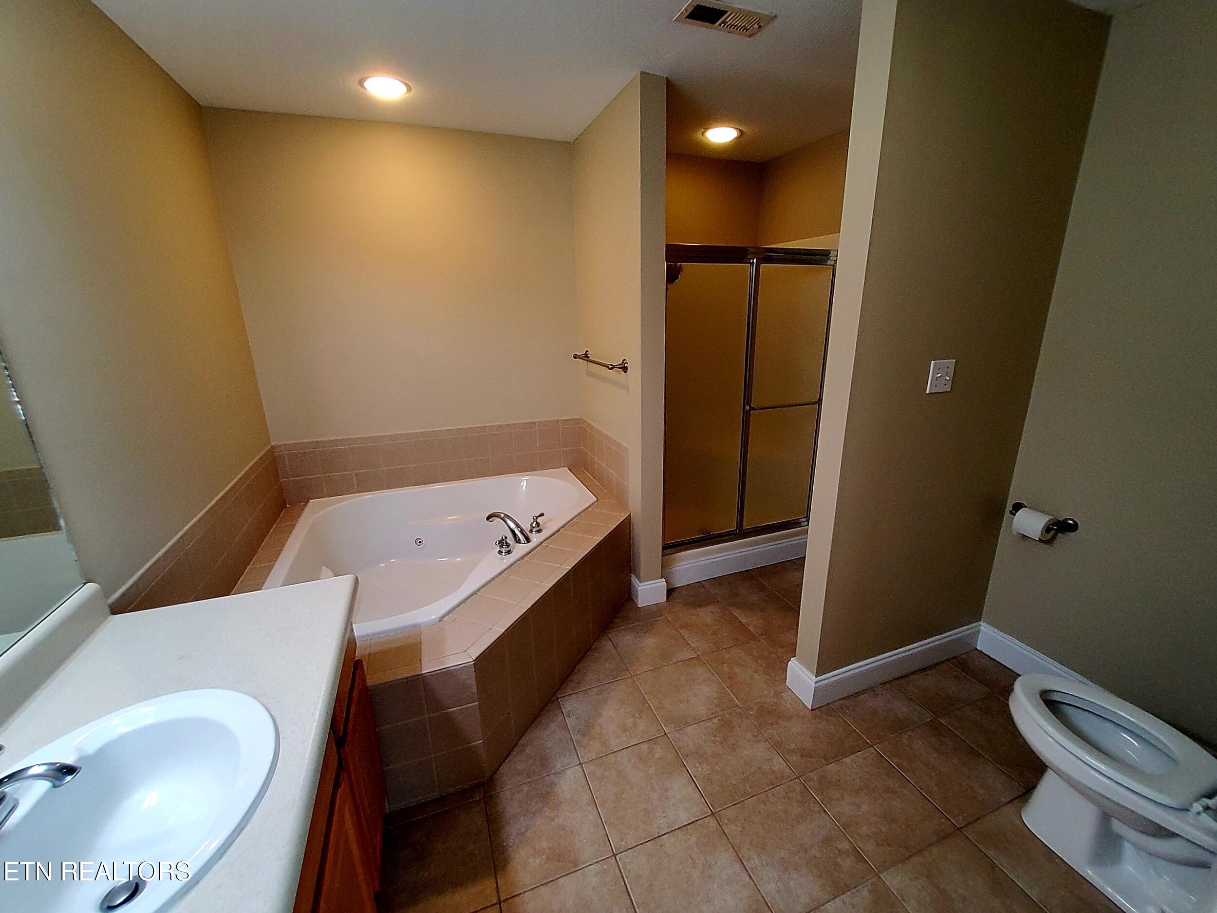 925 Elsborn Ridge Road Maryville, TN 37801 - Photo 21 of 24 Master Bath
