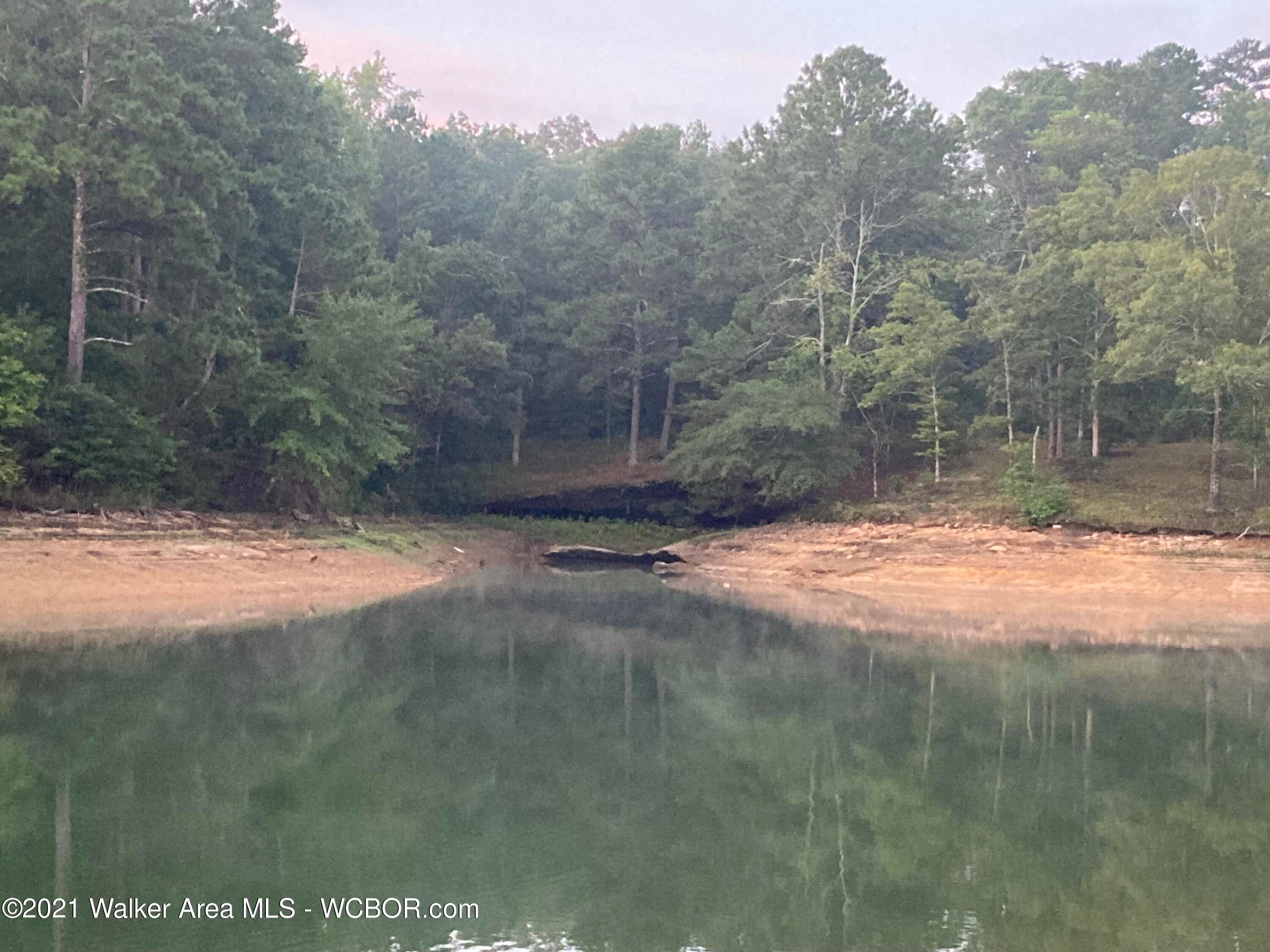 Lot 25 Stoney Point/trail Road Double Springs, AL 35553 - Photo 12 of 16 Gallery Image 12