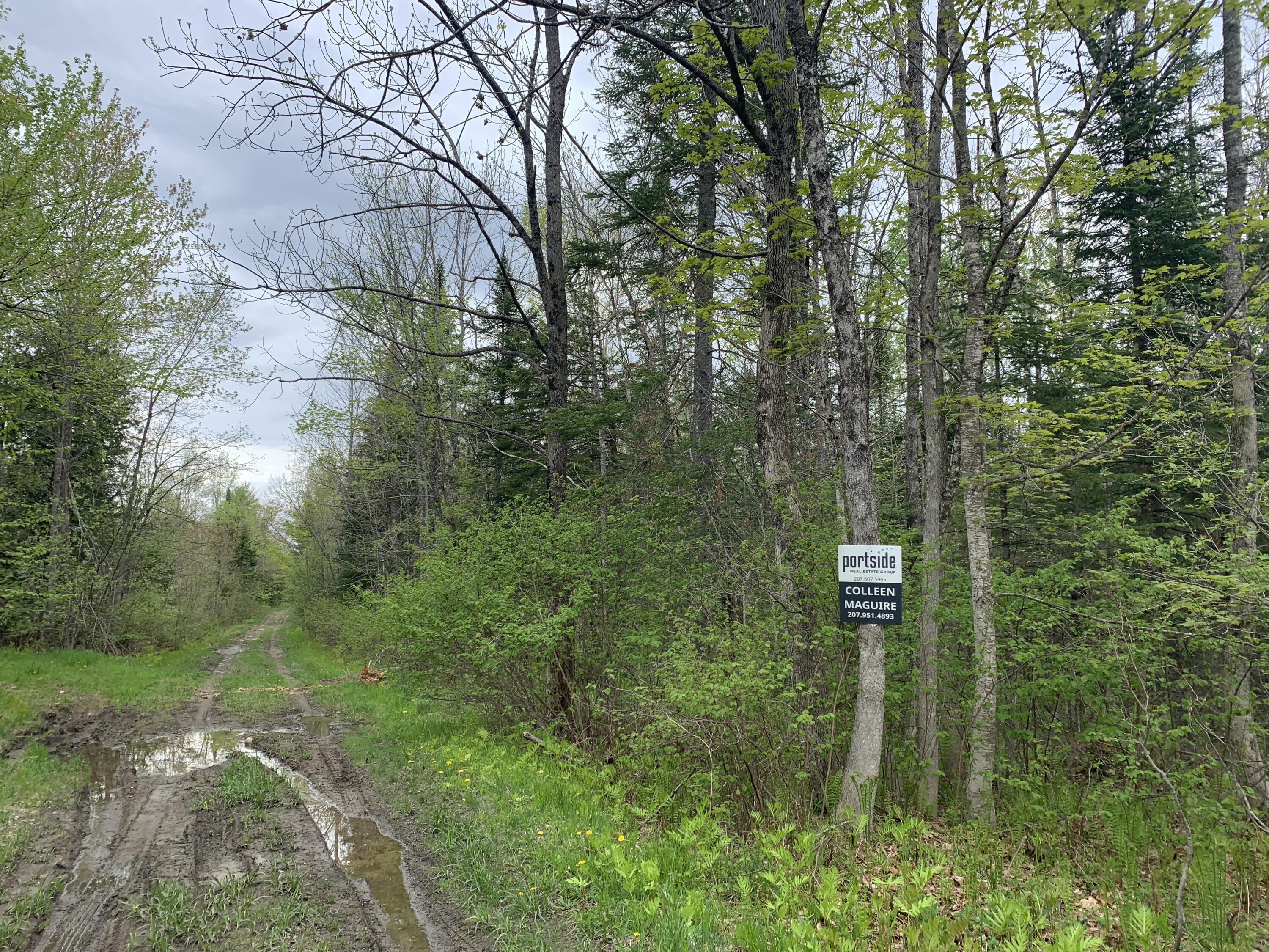 Lot#00 North Road Ripley, ME 04930 - Photo 5 of 9 IMG_9318