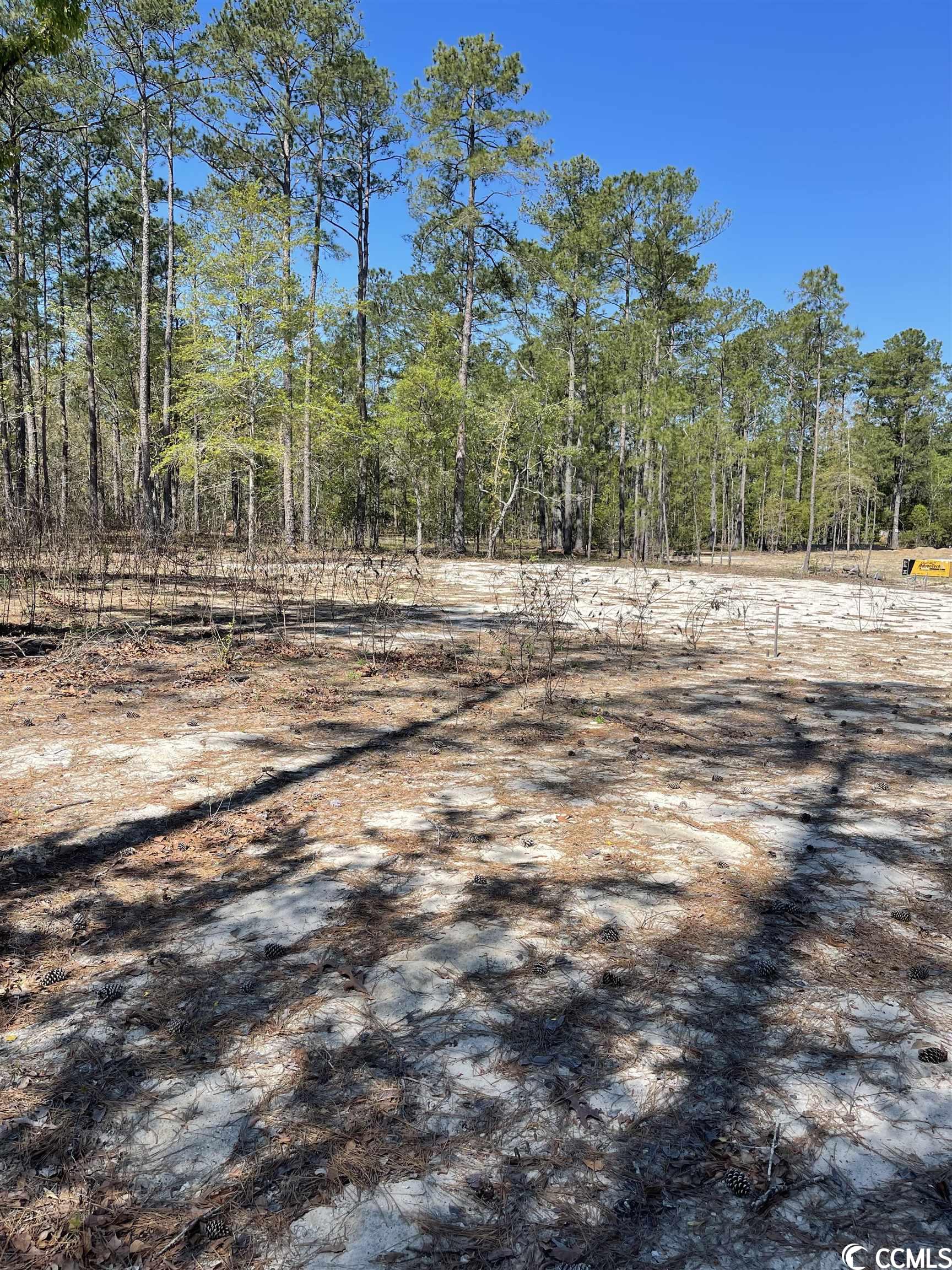 B B Watson Road Conway, SC 29526 - Photo 2 of 7 Gallery Image 2