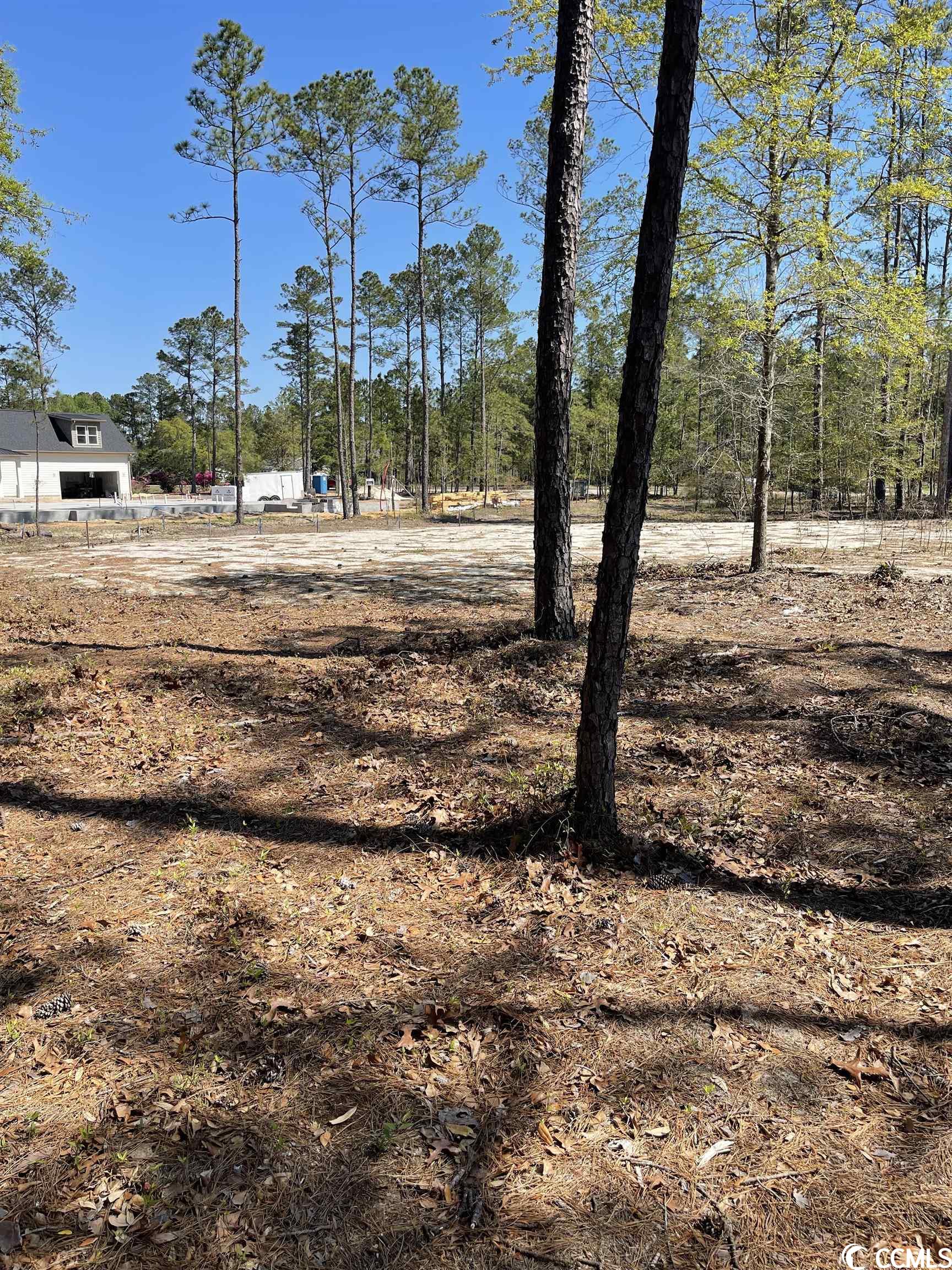 B B Watson Road Conway, SC 29526 - Photo 3 of 7 Gallery Image 3