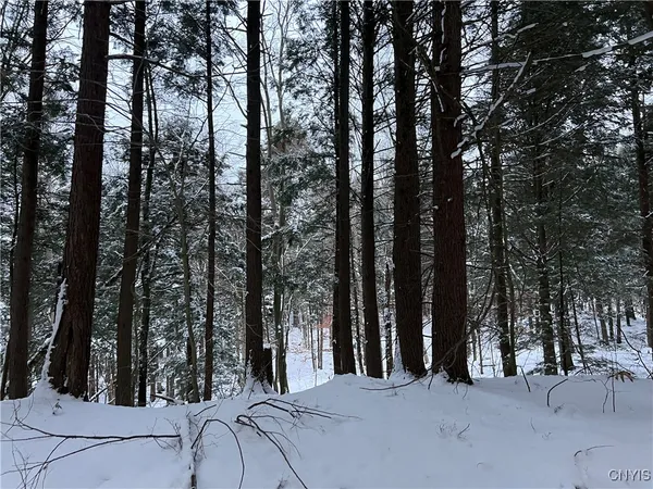 $125,000 | Center Street, Cleveland, NY 13042