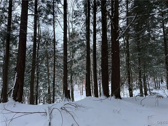 $125,000 | Center Street, Cleveland, NY 13042