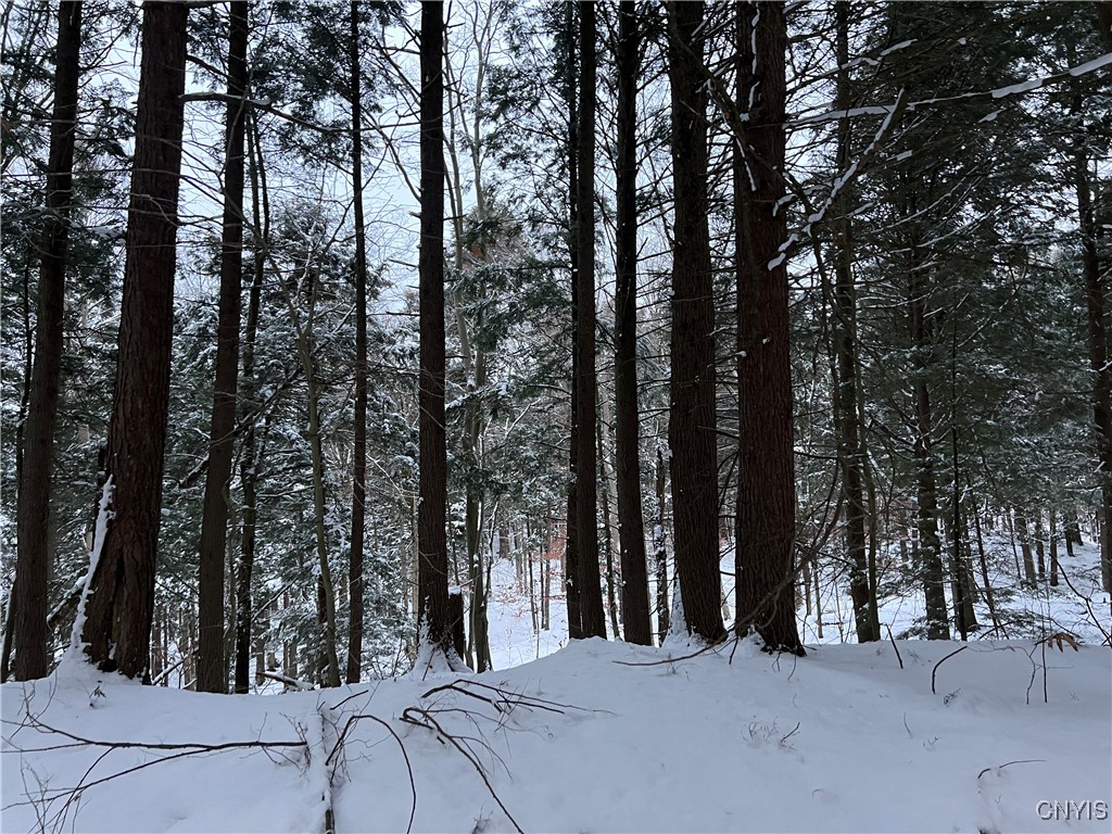 Secluded recreational land