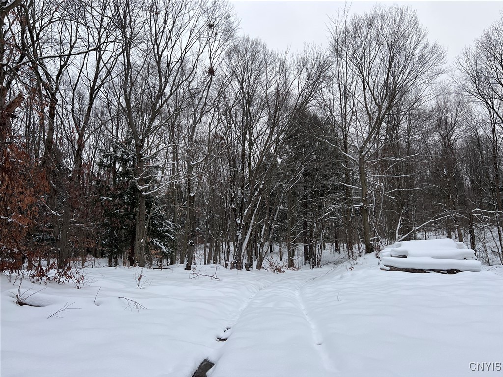 Center Street Cleveland, NY 13042 - Photo 11 of 15