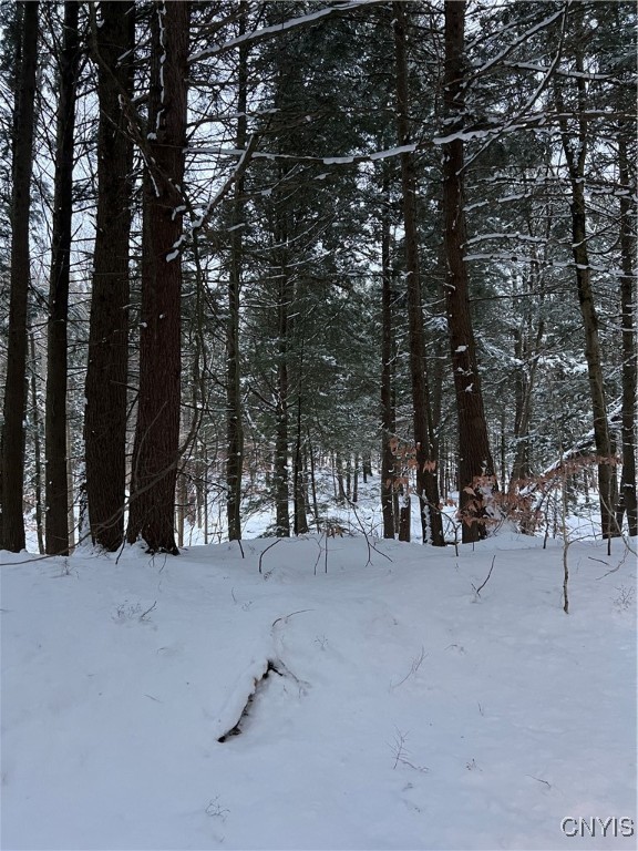 Center Street Cleveland, NY 13042 - Photo 12 of 15