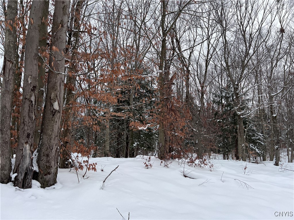 Center Street Cleveland, NY 13042 - Photo 13 of 15