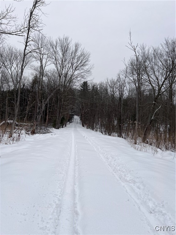 Center Street Cleveland, NY 13042 - Photo 5 of 15 Road leading to the property