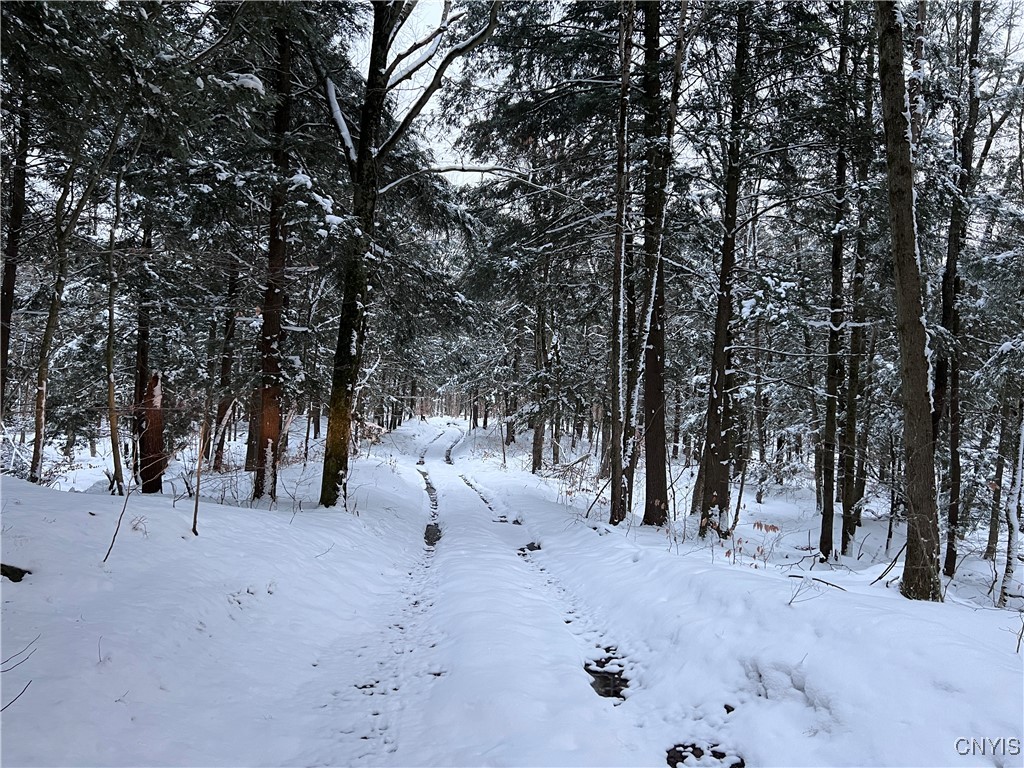 Center Street Cleveland, NY 13042 - Photo 6 of 15