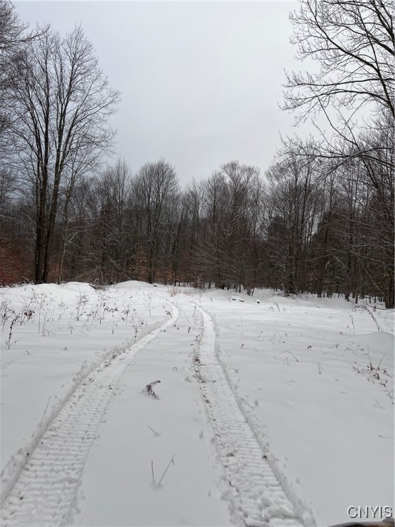 Center Street Cleveland, NY 13042 - Photo 7 of 15 With UTV trails throughout