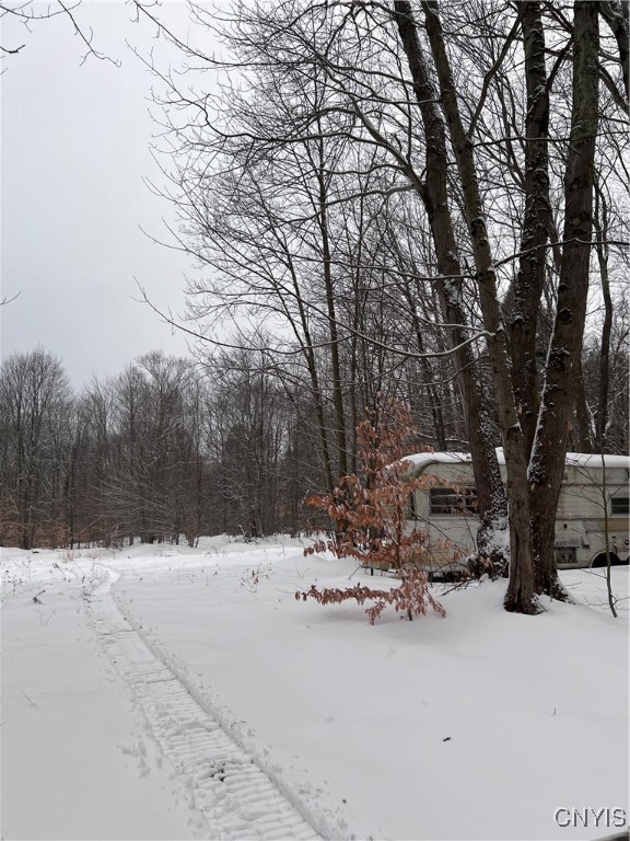 Center Street Cleveland, NY 13042 - Photo 8 of 15 A small camper on site provides a base camp