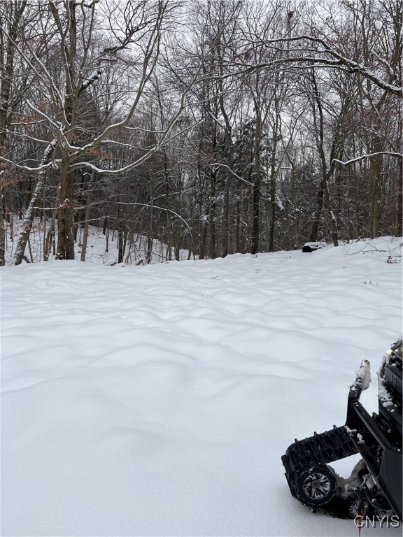 Center Street Cleveland, NY 13042 - Photo 10 of 15