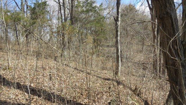 1 Baxter Ridge Road Lawrenceburg, KY 40342 - Photo 7 of 13 Photo 7