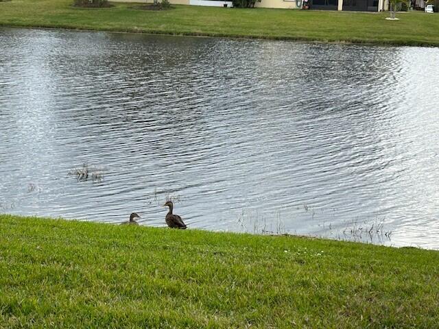 3551 Funston Circle Melbourne, FL 32940 - Photo 33 of 42 a view of a backyard
