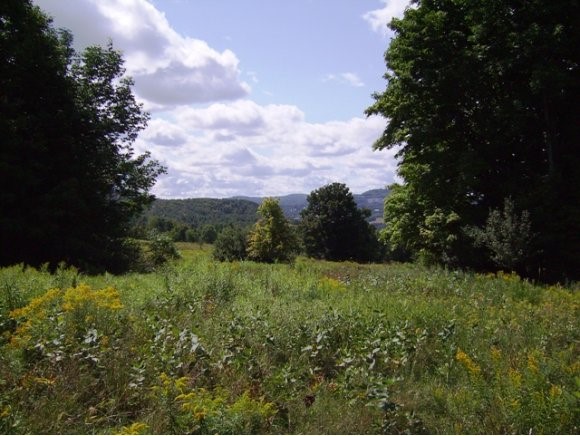 3 Phelps Road Barre Town, VT 05641 - Photo 1 of 1