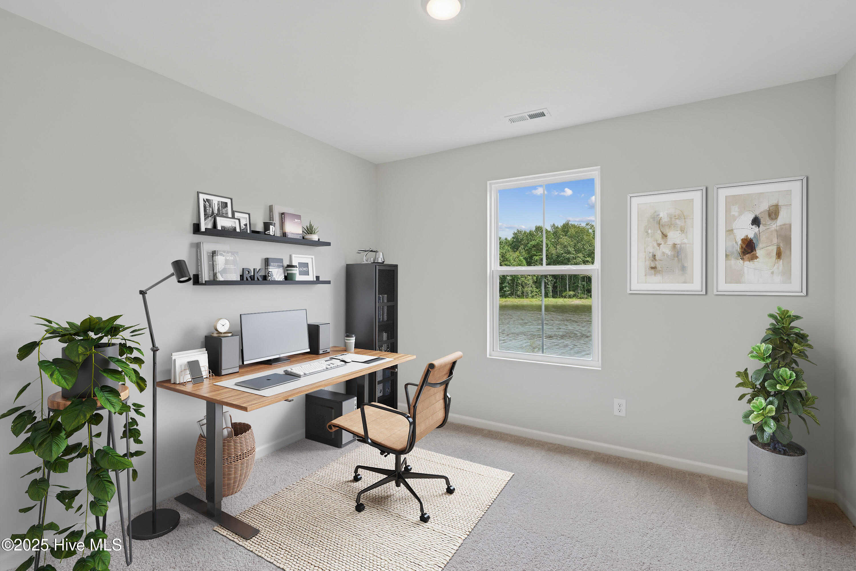88 Brookfield Branch Road, Unit 279 Hampstead, NC 28443 - Photo 10 of 32 shoootin-photo-10
