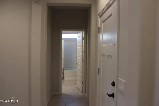 a view of a bathroom from a hallway with closet