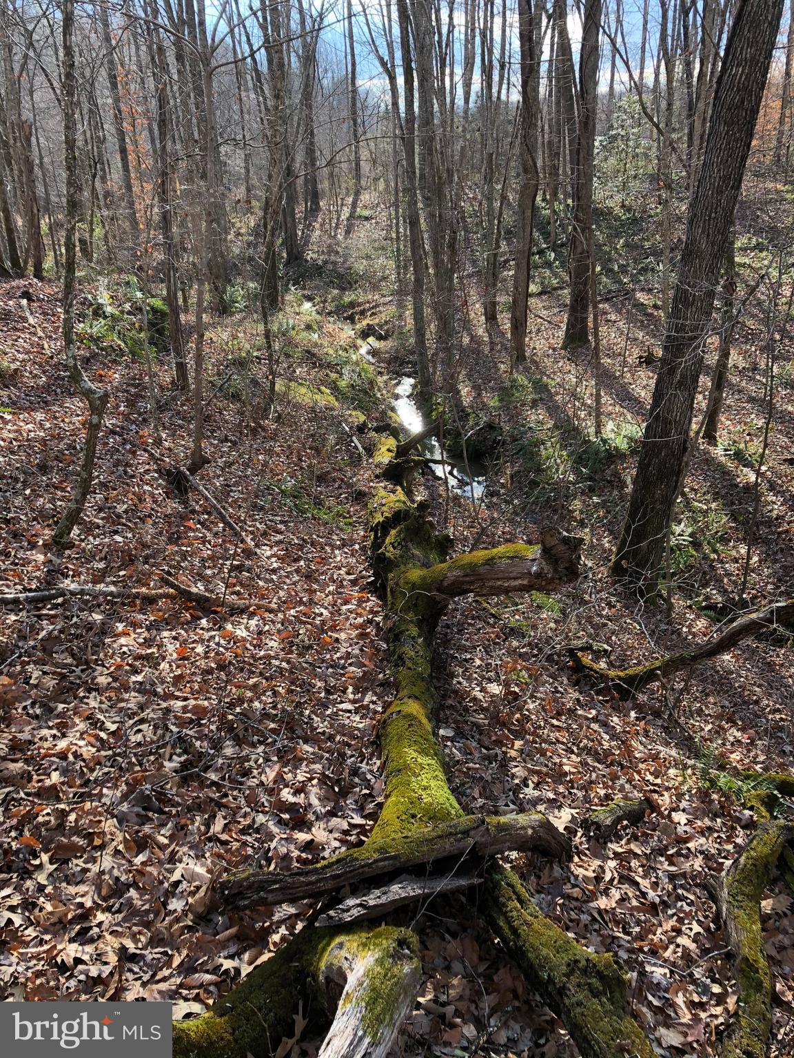 Black Hill Road Rixeyville, VA 22737 - Photo 11 of 18 Gallery Image 11
