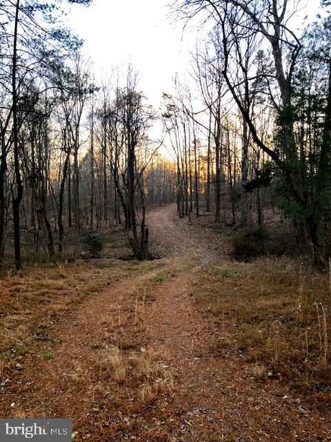 Black Hill Road Rixeyville, VA 22737 - Photo 16 of 18 Gallery Image 16