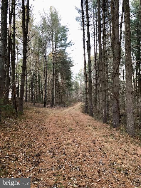 Black Hill Road Rixeyville, VA 22737 - Photo 17 of 18 Gallery Image 17