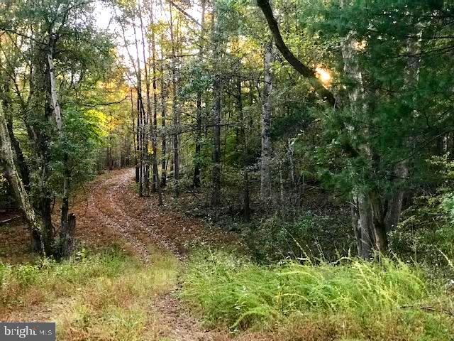 Black Hill Road Rixeyville, VA 22737 - Photo 4 of 18 Gallery Image 4