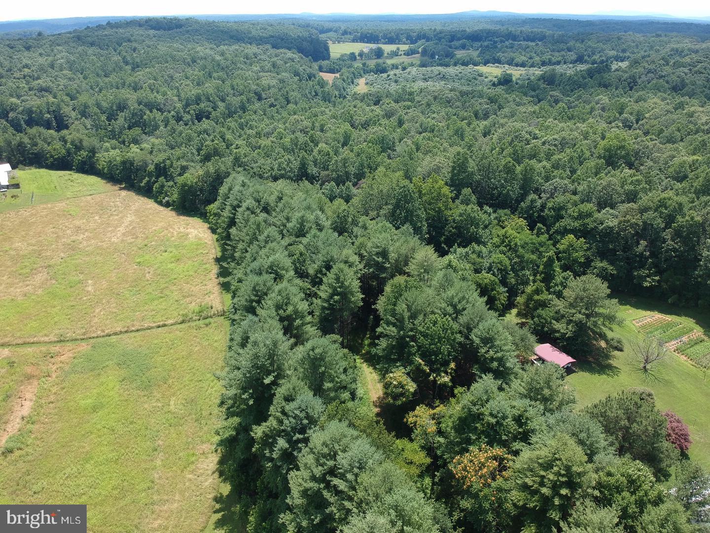 Black Hill Road Rixeyville, VA 22737 - Photo 7 of 18 Gallery Image 7