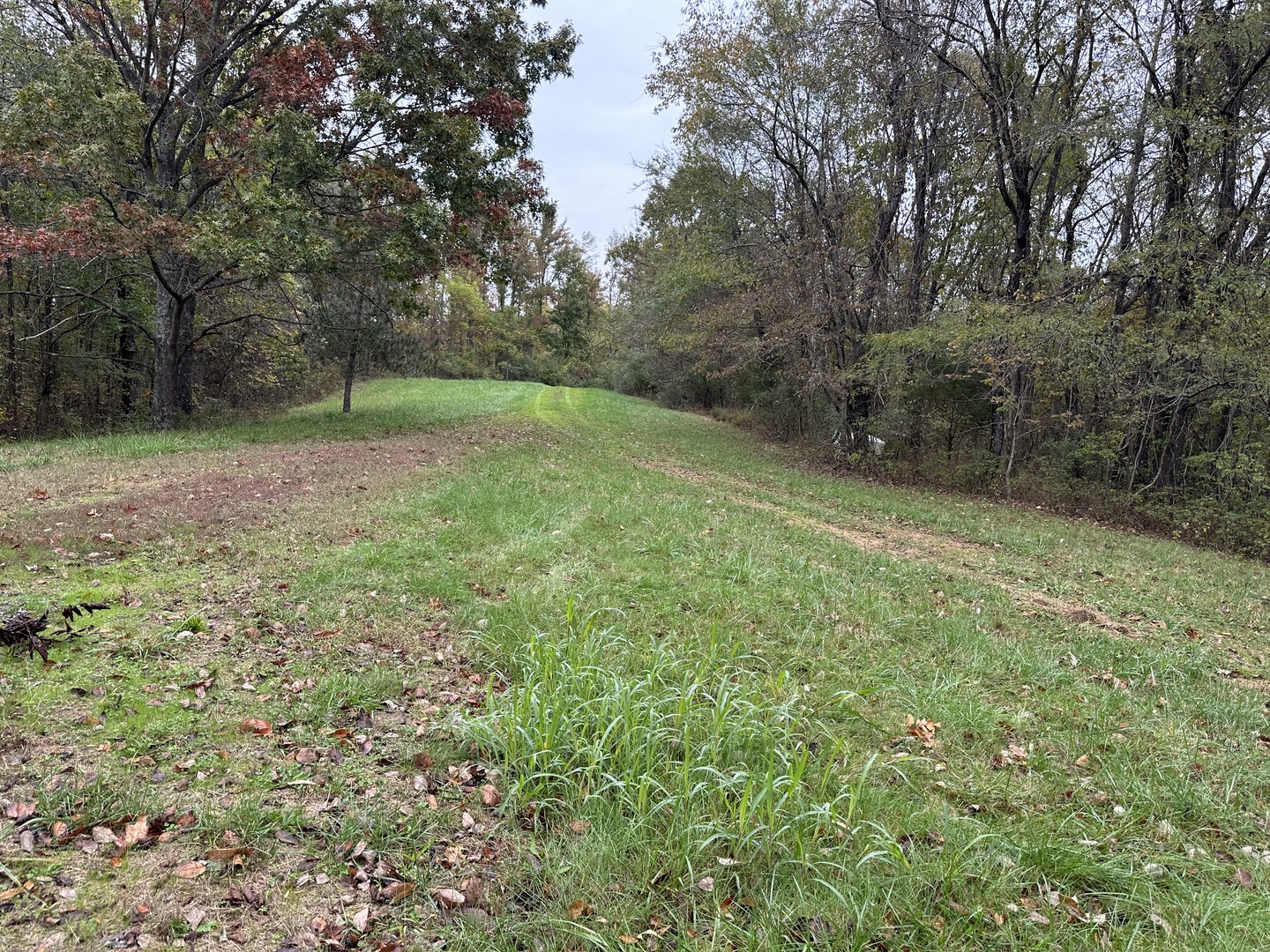 153 Rock Creek Road Elizabethtown, IL 62931 - Photo 14 of 18