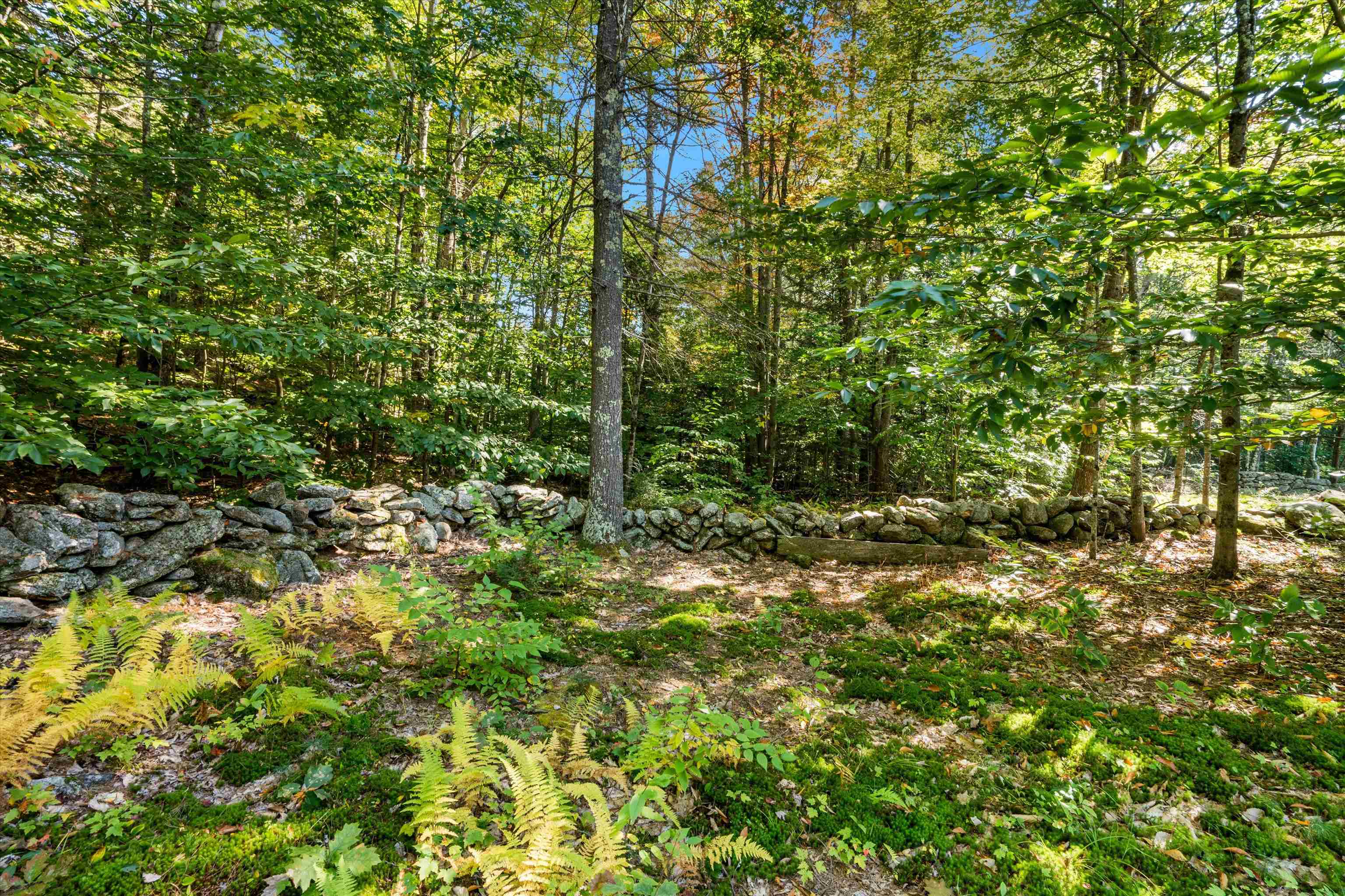 202 Pitman Road Barnstead, NH 03225 - Photo 30 of 40 Gallery Image 30