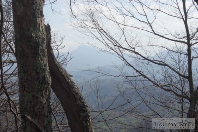 Almost Heaven Road Boone, NC 28607 - Photo 3 of 4 a backyard of a house