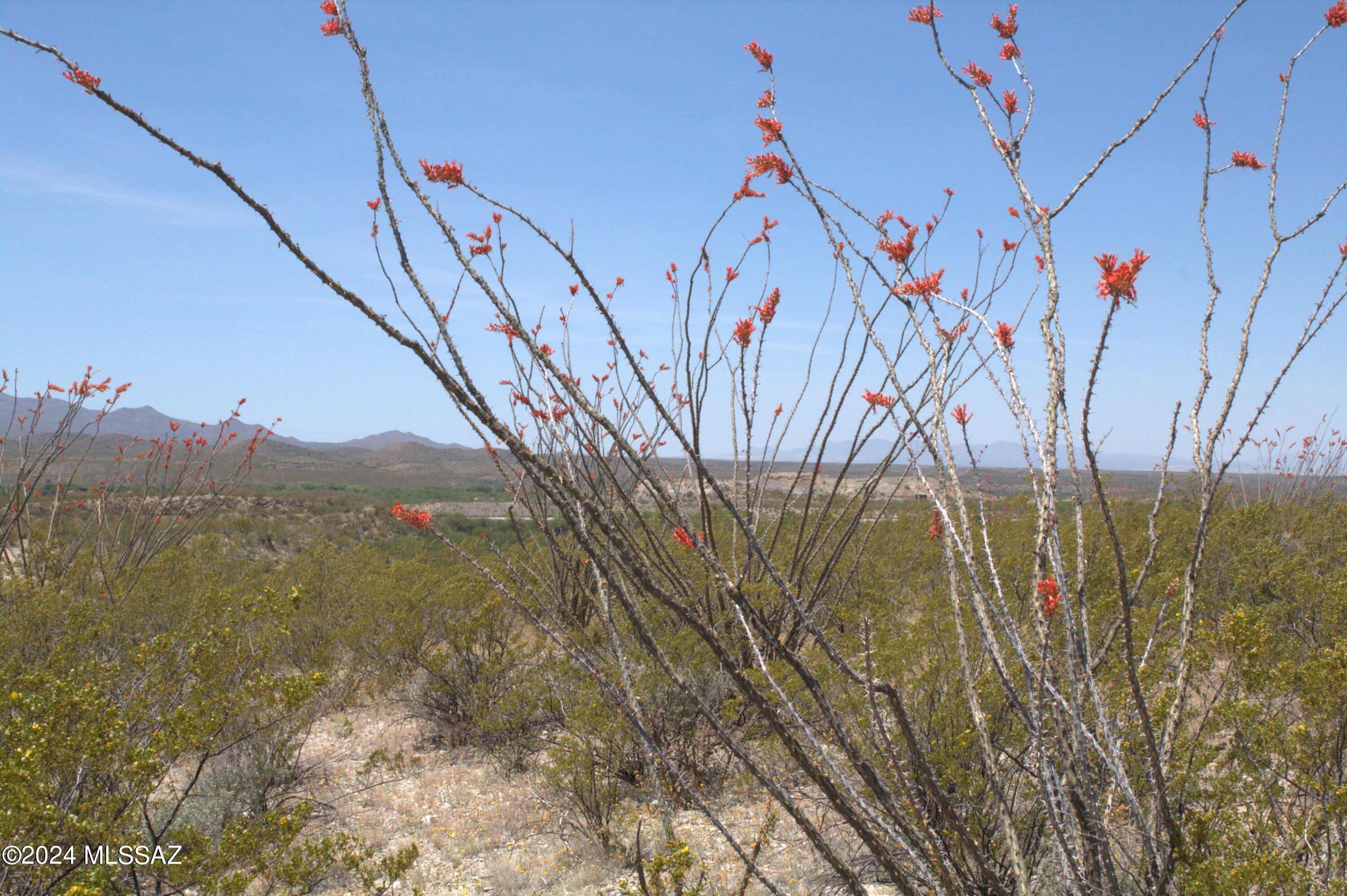Tbd South Taurus Place Vail, AZ 85641 - Photo 6 of 30