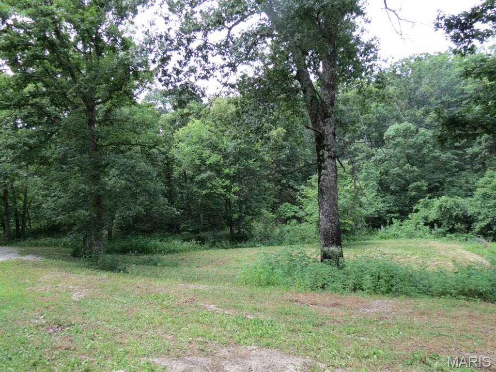 10756 Hamilton Hollow Road Sullivan, MO 63080 - Photo 12 of 41