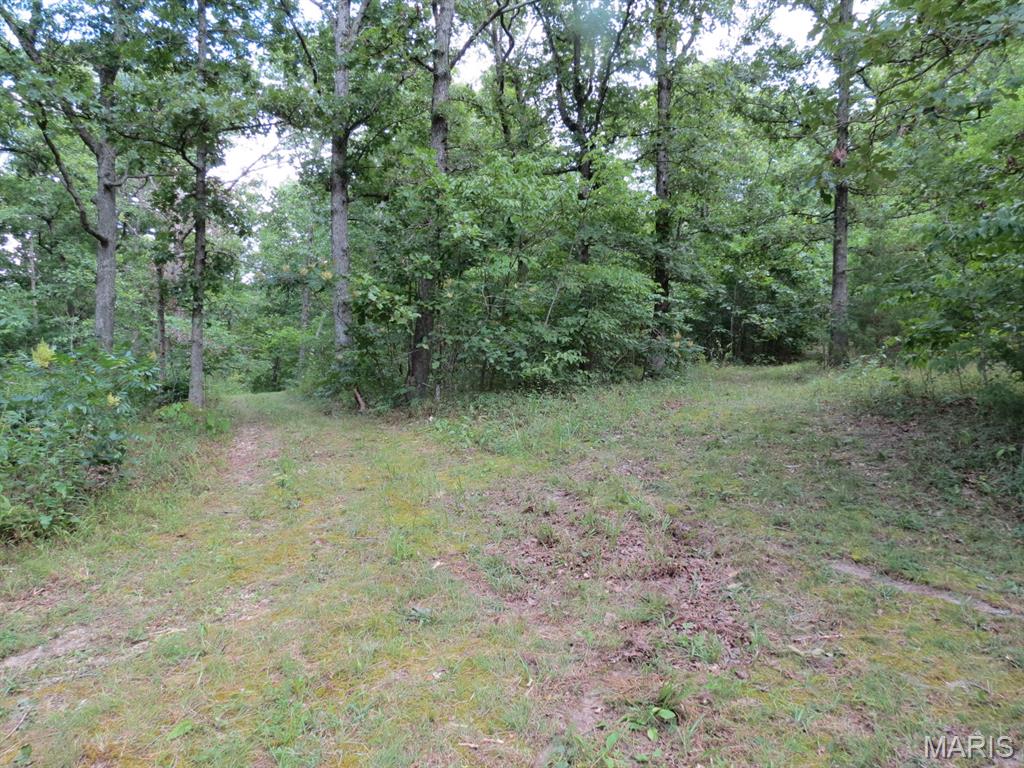 10756 Hamilton Hollow Road Sullivan, MO 63080 - Photo 16 of 41