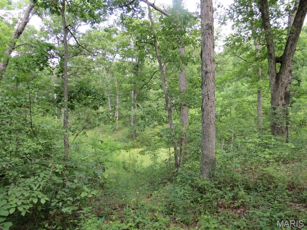 10756 Hamilton Hollow Road Sullivan, MO 63080 - Photo 17 of 41