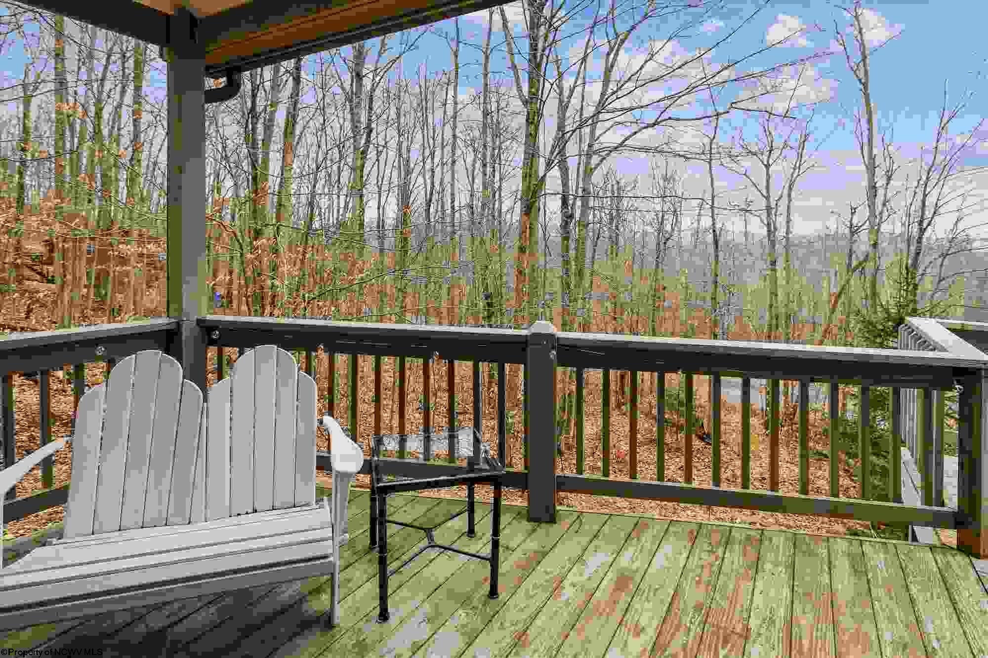 390 Cabin Mountain Road Davis, WV 26260 - Photo 22 of 30 Gallery Image 22