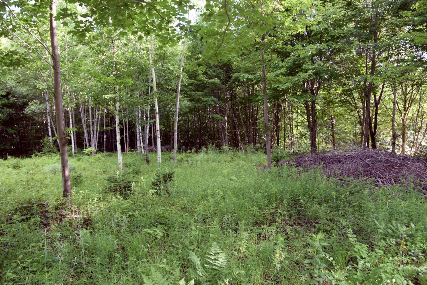 M7-l1-13 Pine Bluff Road Embden, ME 04958 - Photo 5 of 10 DSC_0175