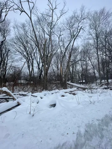 $17,000 | Three Rivers Mi 49093 Court, Three Rivers, MI 49093