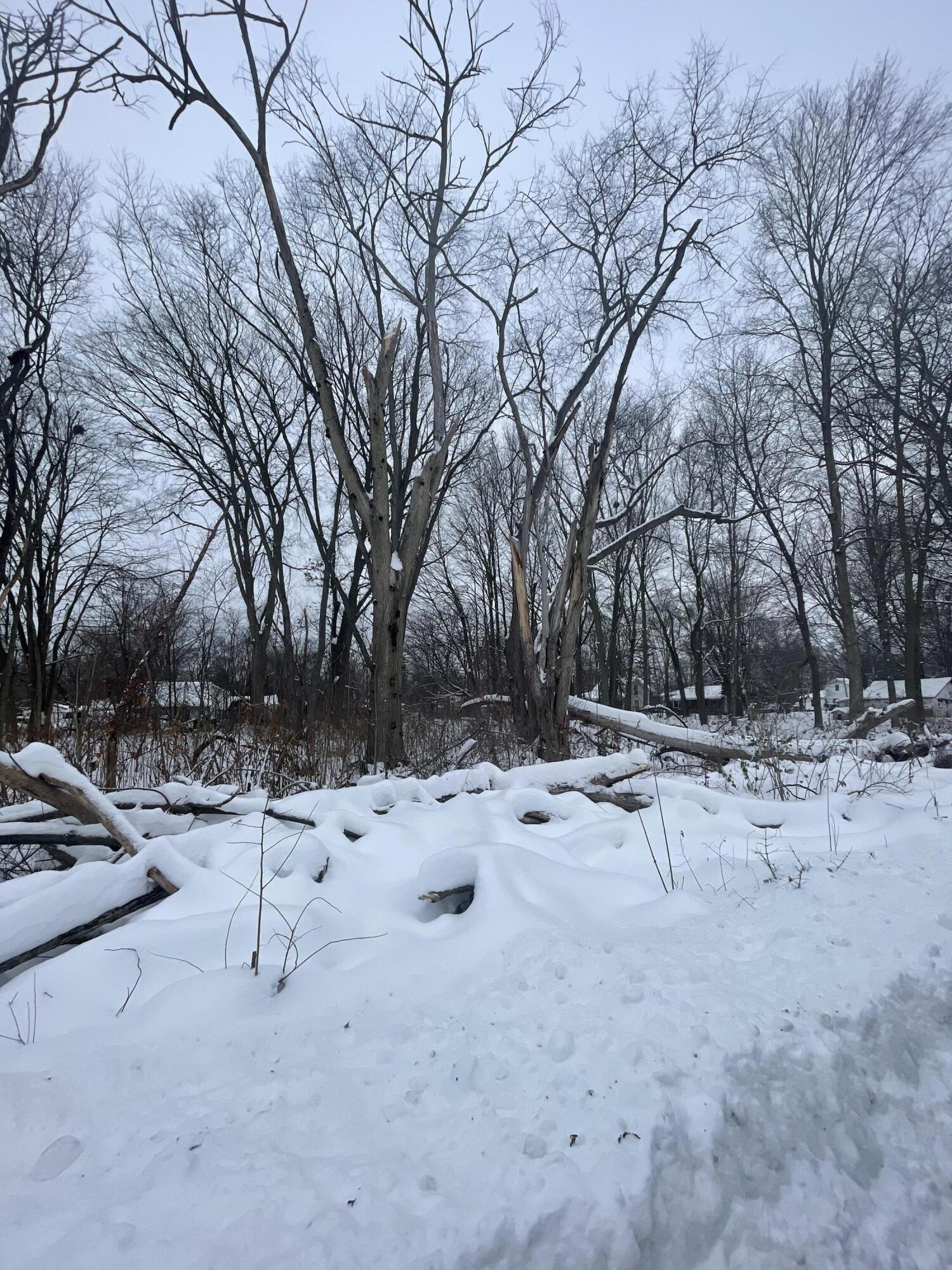 Three Rivers Mi 49093 Court Three Rivers, MI 49093 - Photo 2 of 8 IMG_7557