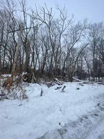 $17,000 | Three Rivers Mi 49093 Court, Three Rivers, MI 49093