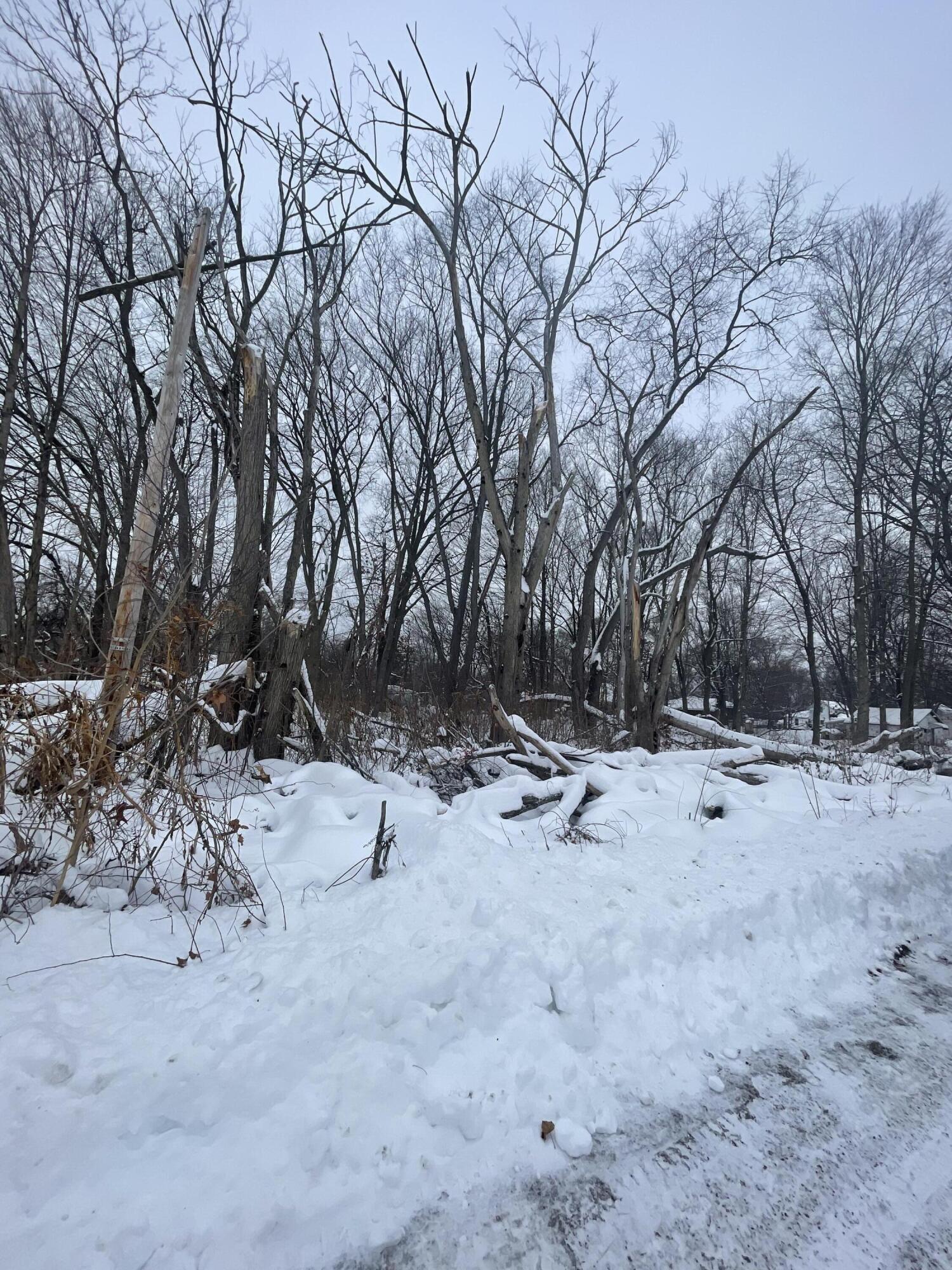 Three Rivers Mi 49093 Court Three Rivers, MI 49093 - Photo 3 of 8 IMG_7556