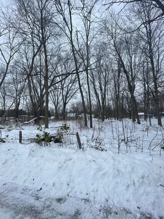 $17,000 | Three Rivers Mi 49093 Court, Three Rivers, MI 49093