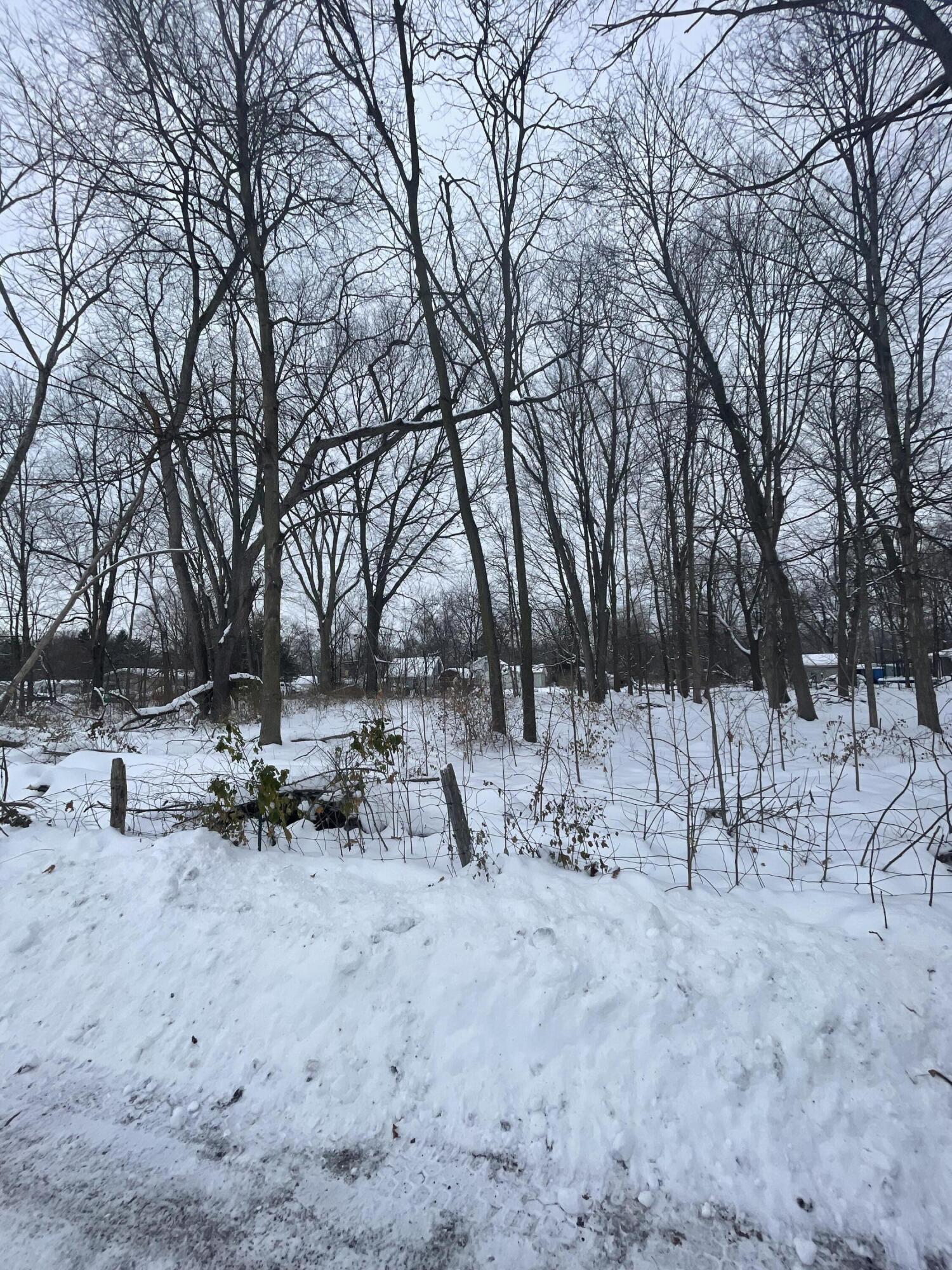 Three Rivers Mi 49093 Court Three Rivers, MI 49093 - Photo 4 of 8 IMG_7555