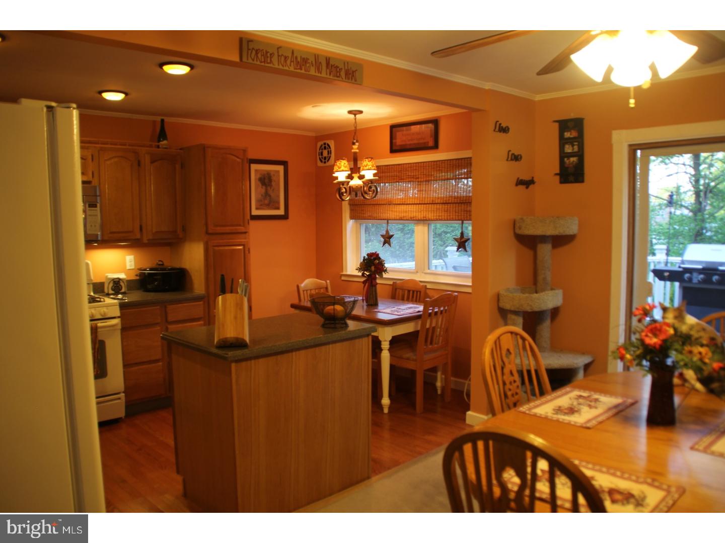 3205 Ancona Road Philadelphia, PA 19154 - Photo 7 of 22 Kitchen