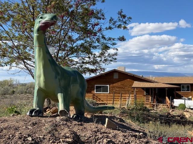 a view of a backyard with plants and a bench