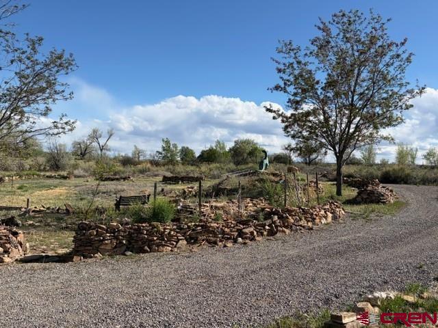 51233 Carnation Road Delta, CO 81416 - Photo 5 of 21 a view of a town with large trees