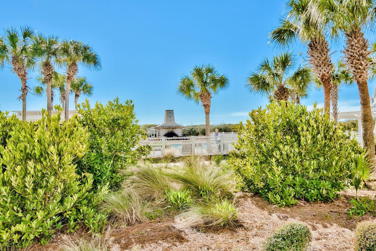 337 Bridge Lane, Unit 102B Inlet Beach, FL 32461 - Photo 45 of 50 a backyard of a house with lots of green space