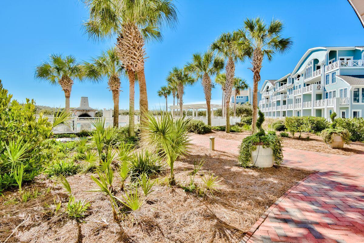 337 Bridge Lane, Unit 102B Inlet Beach, FL 32461 - Photo 46 of 50 a picture of palm trees