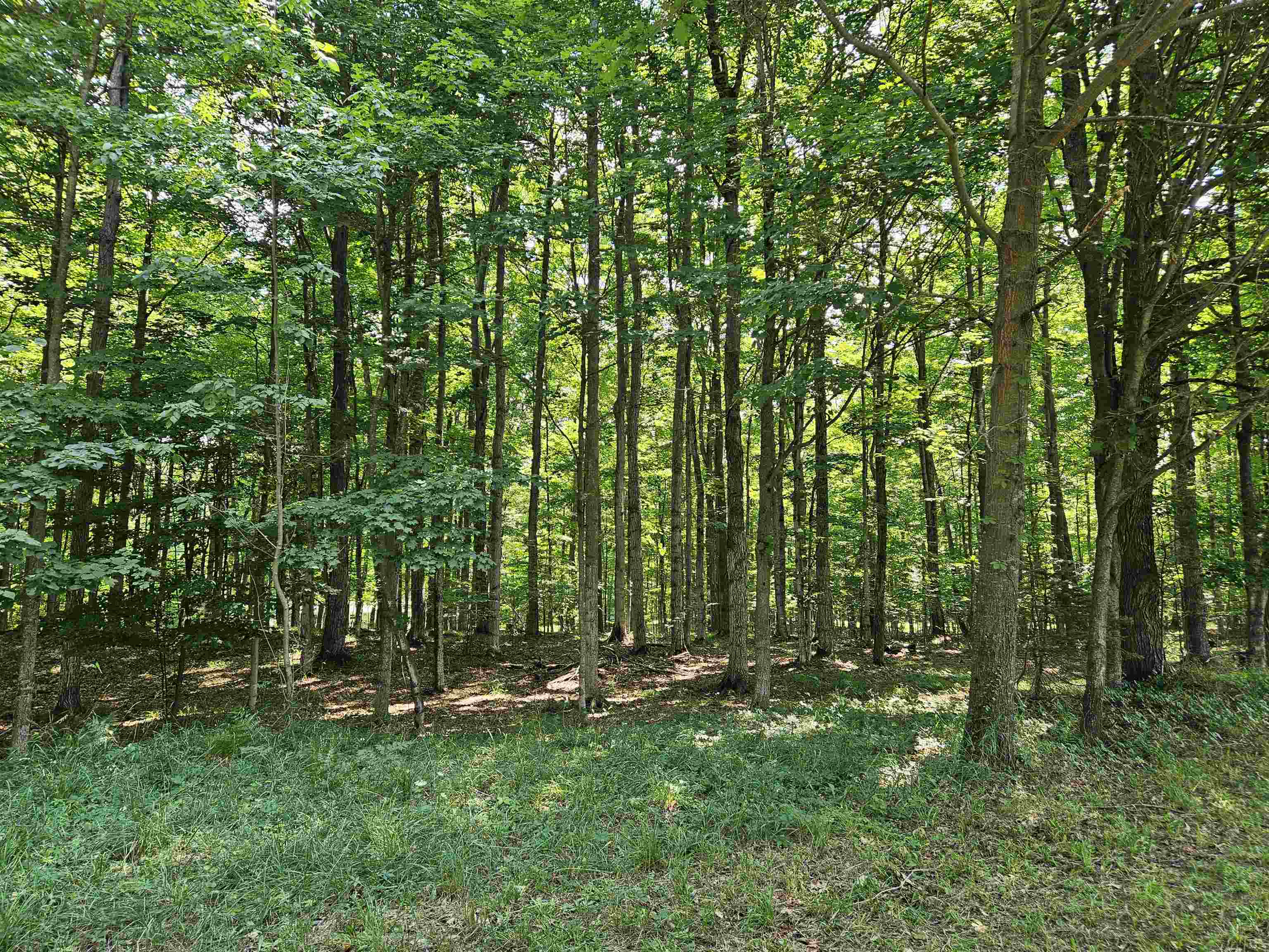 Tbd Tbd Willsey Road Traverse City, MI 49696 - Photo 17 of 22