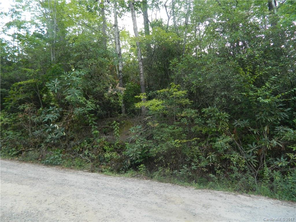 475 Laurel Falls Road Brevard, NC 28712 - Photo 16 of 19 Gallery Image 16